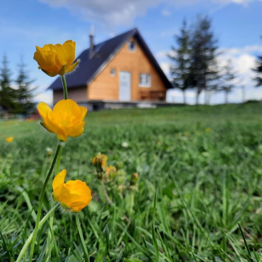 Villa Vila Aleksandar Žabljak Exterior foto